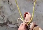 Como escapar quando você está preso a uma corda.