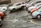 Motorista barbeiro