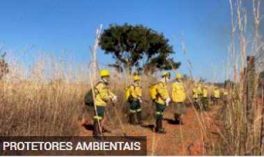 Curso de brigada florestal tem novas datas de inscrição definidas