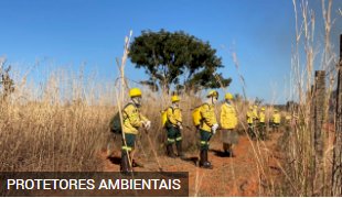 Curso de brigada florestal tem novas datas de inscrição definidas